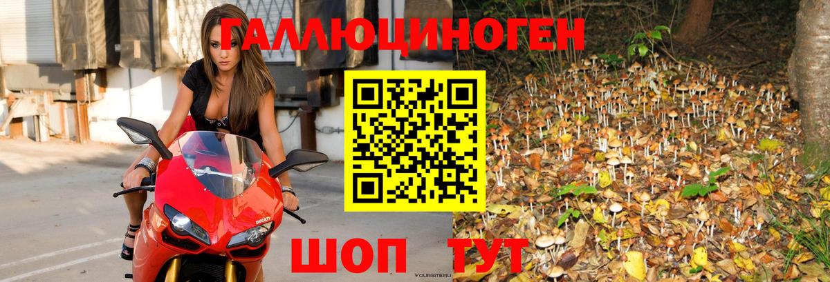 Псилоцибиновые грибы MAGIC MUSHROOMS  Вход с VPN  Псилоцибиновые грибы мицелий  Котельники 